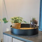 Apartman L'escale Angers