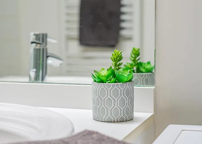 L'escale Appartement Angers